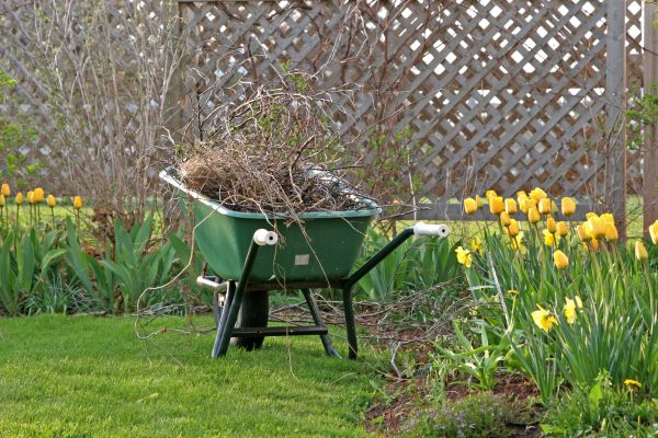 Flower Bed Cleanup Service in Richland