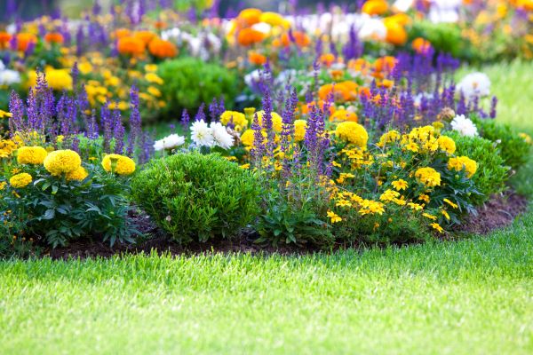 Flower Bed Maintenance in Richland