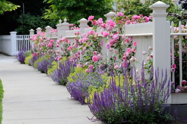 Garden Handyman Service in Richland