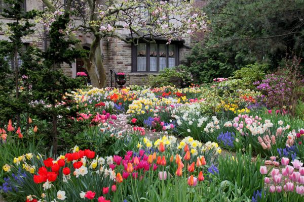Garden Maintenance Service in Richland