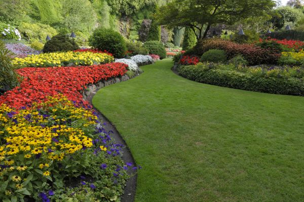 Landscaping Maintenance in Richland