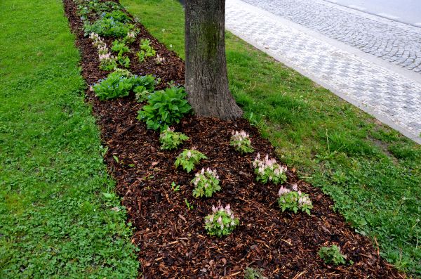 Mulch Replacement Service in Richland
