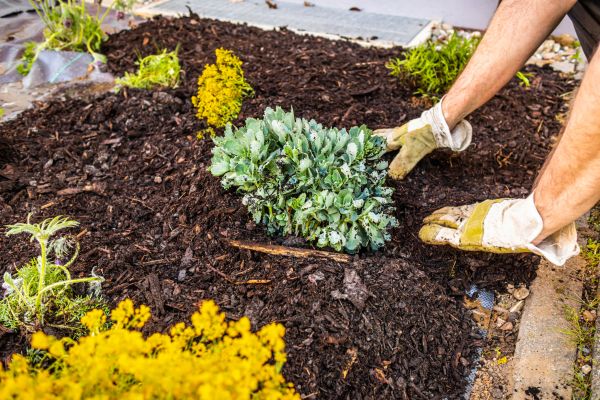 Weeding And Mulching in Richland