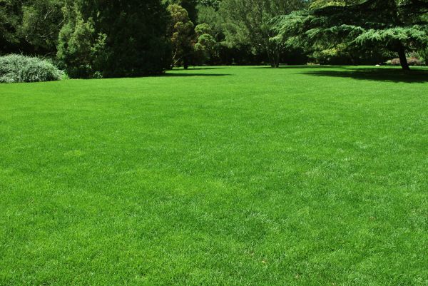 Lawn Landscaping in Richland