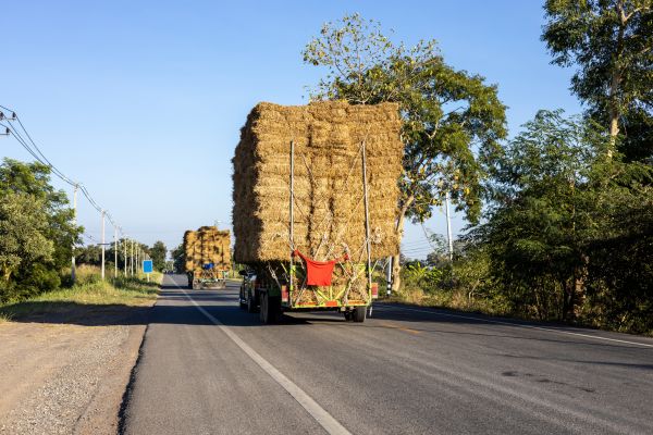 Pine Straw Delivery in Richland