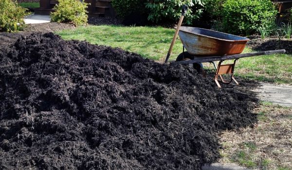 Black Mulch Delivery in Richland