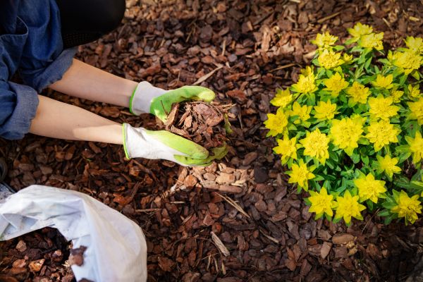 Garden Mulching in Richland