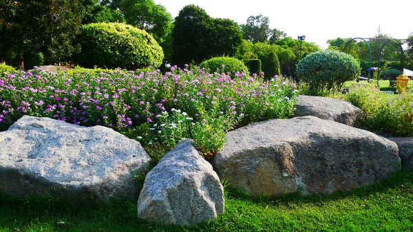 Boulder Landscaping in Richland
