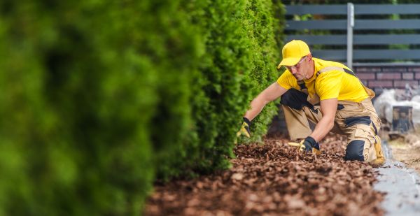 Cypress Mulch Installation in Richland