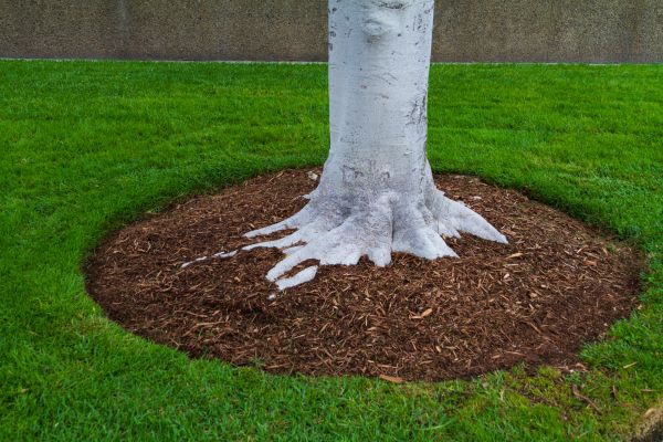 Brown Mulch Installation in Richland