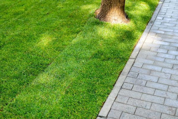 Border Stone Installation in Richland
