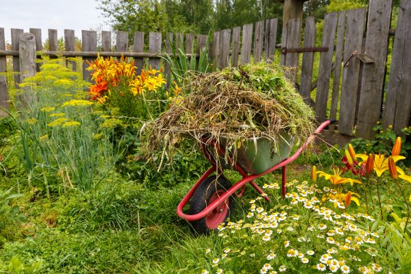Garden Cleanup Service in Richland