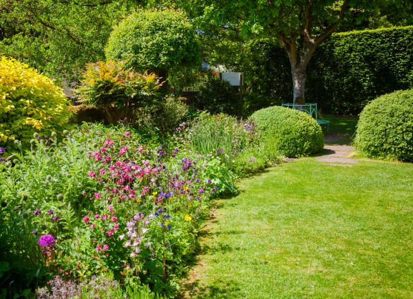 Yard Landscaping Service in Richland