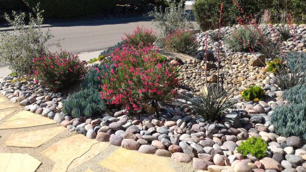 Xeriscape Landscaping in Richland