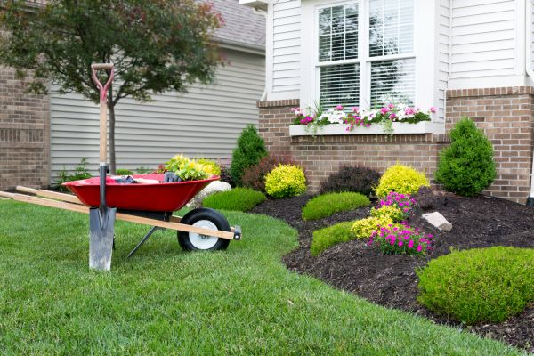 Tree And Shrub Planting in Richland