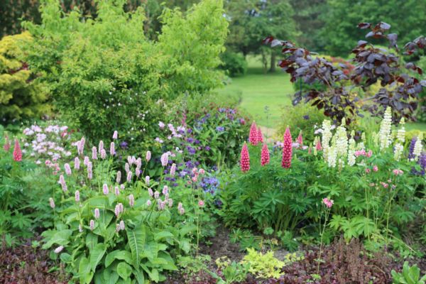 Flower Bed Planting in Richland