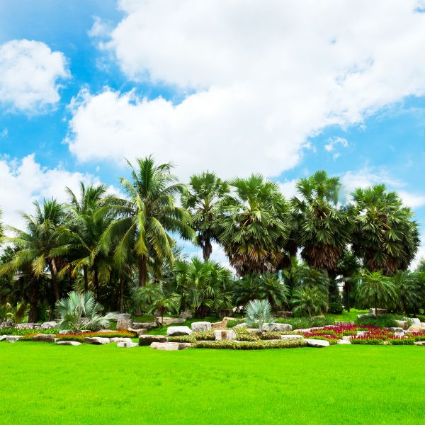 Tropical Landscaping in Richland