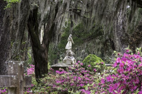 Cemetery Landscaping in Richland