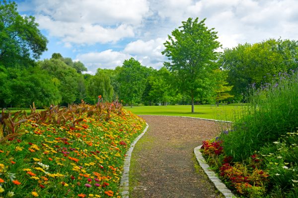 Park Landscaping in Richland