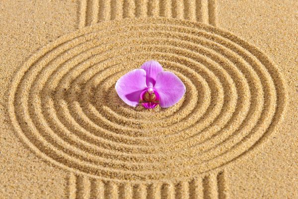 Sand Garden Landscaping in Richland