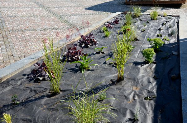 Landscape Fabric Installation in Richland