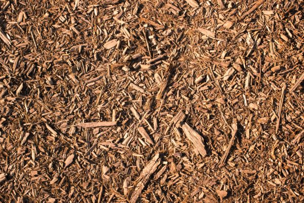 Wood Chips Removal in Richland
