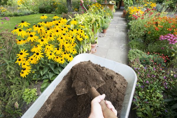 Topsoil Replacement in Richland