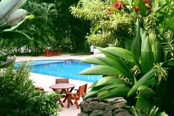 Pool Area Landscaping in Richland