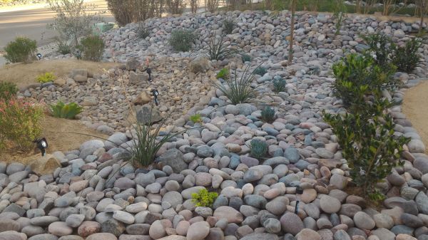 Yard Xeriscaping in Richland