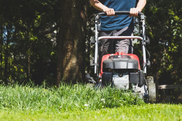 Garden Trimming Service in Richland