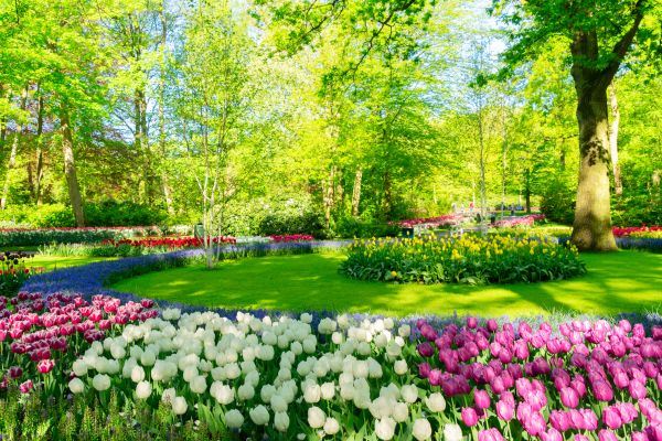 Flower Landscaping in Richland