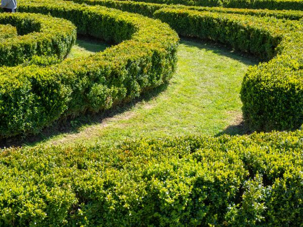 Bush Landscaping in Richland