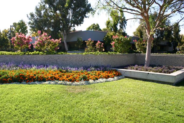 Commercial Landscape Service in Richland