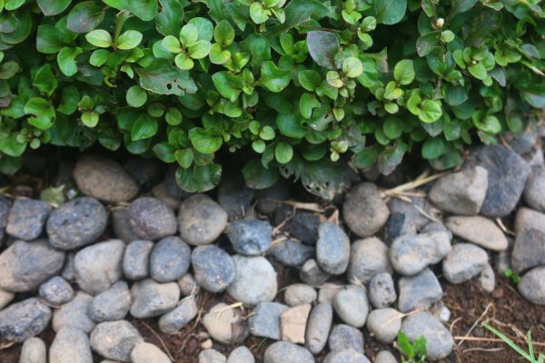 River Stone Installation in Richland