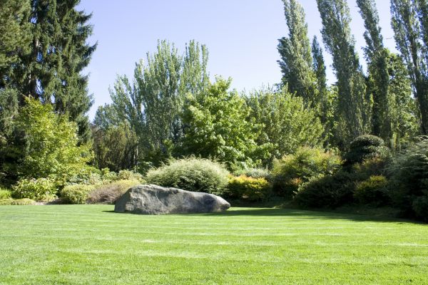 Yard Enlargement in Richland