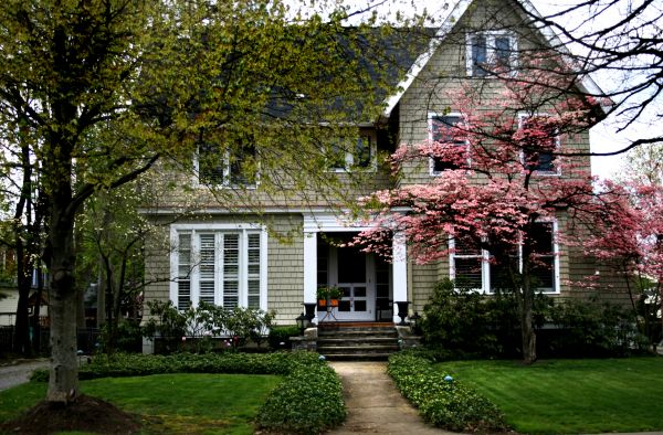 Ornamental Tree Planting in Richland