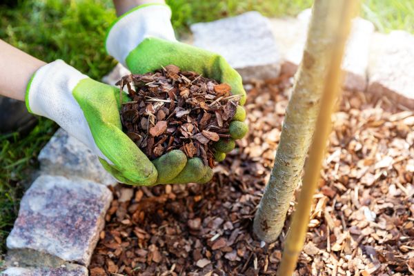 Tree Bark Delivery in Richland