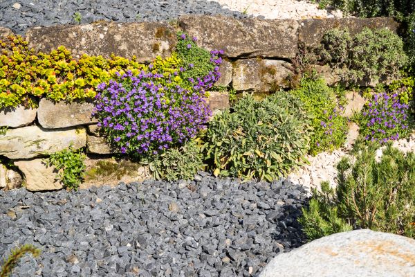 Landscaping Rocks Installation in Richland