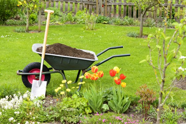Spring Yard Renovation in Richland