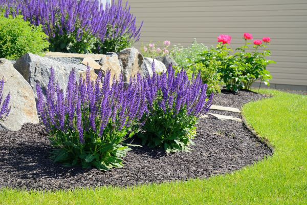 Landscape Planting Service in Richland