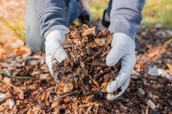 Shredded Mulch Installation in Richland