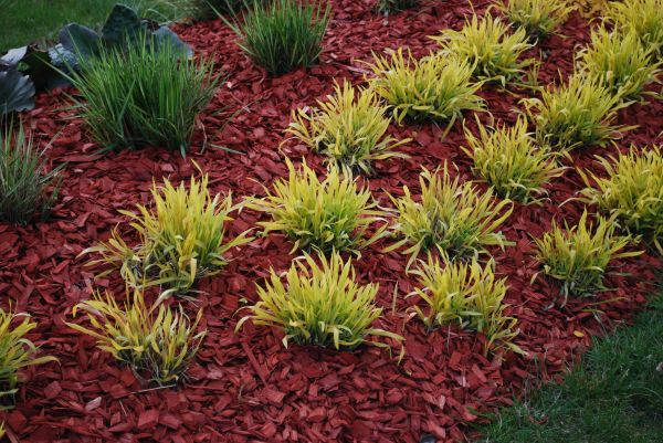 Red Mulch Installation in Richland