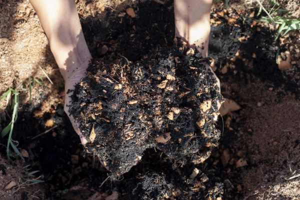 Organic Mulch Installation in Richland