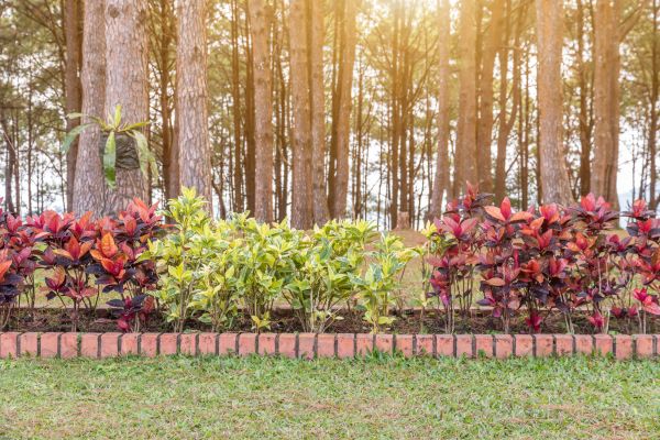 Small Garden Landscaping in Richland