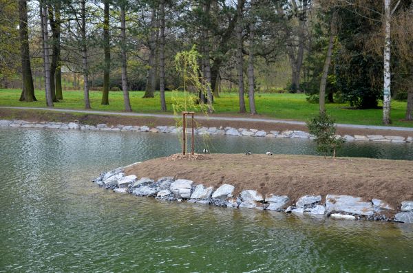 Pond Landscaping Service in Richland