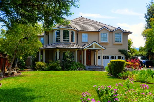 Large Yard Landscaping in Richland