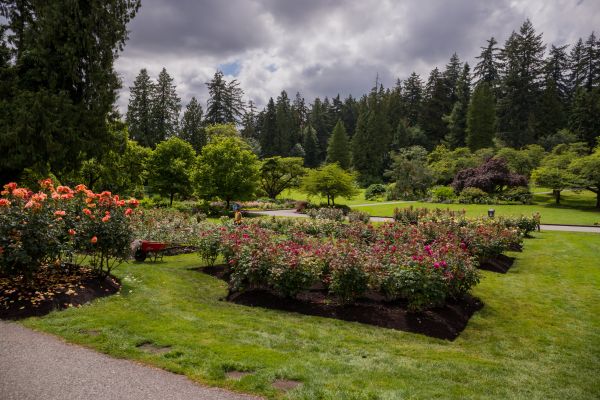 Flower Garden Landscaping in Richland