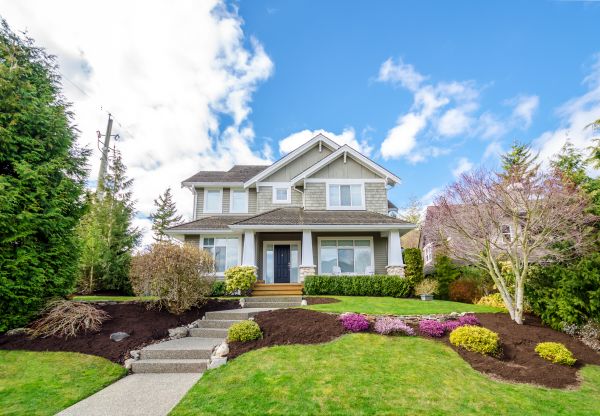 Landscaping Replacement in Richland