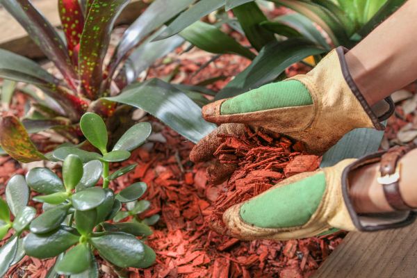 Residential Mulching in Richland