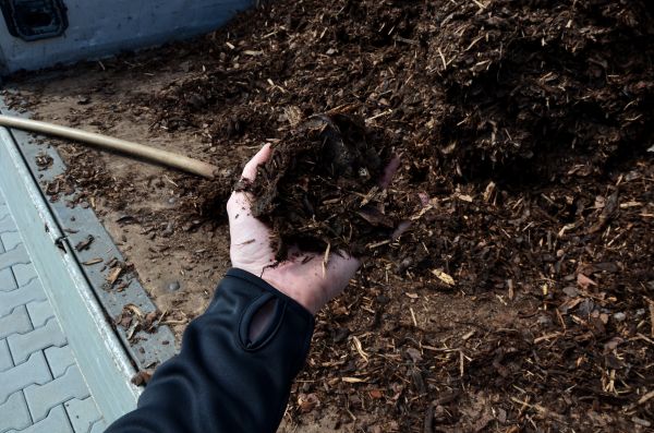 Condo Mulching in Richland